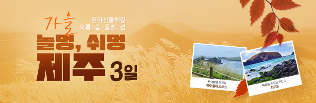 제주의 가을